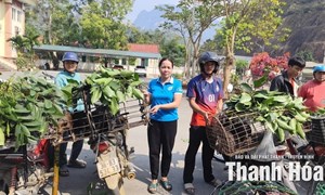 Thanh Hoá: Hỗ trợ phụ nữ phát triển kinh tế